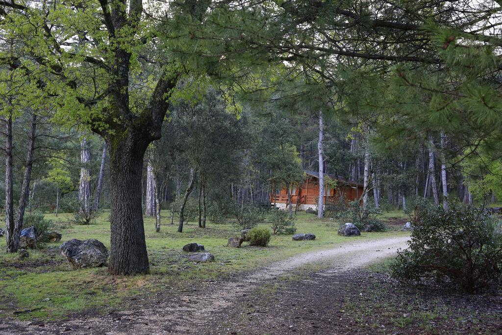 El Llano De Los Conejos Serrania De Cuenca Canamares Exterior photo