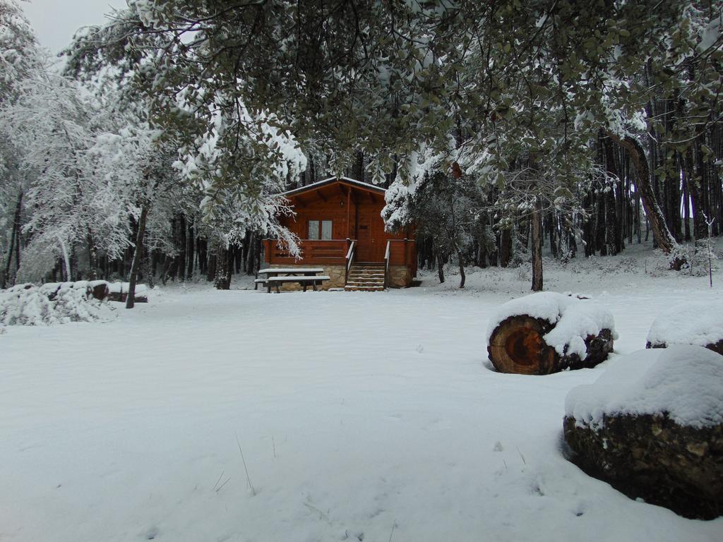 El Llano De Los Conejos Serrania De Cuenca Canamares Exterior photo