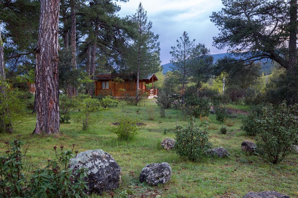El Llano De Los Conejos Serrania De Cuenca Canamares Exterior photo