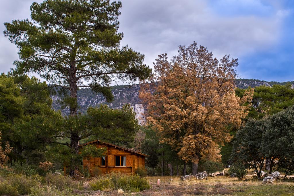 El Llano De Los Conejos Serrania De Cuenca Canamares Exterior photo
