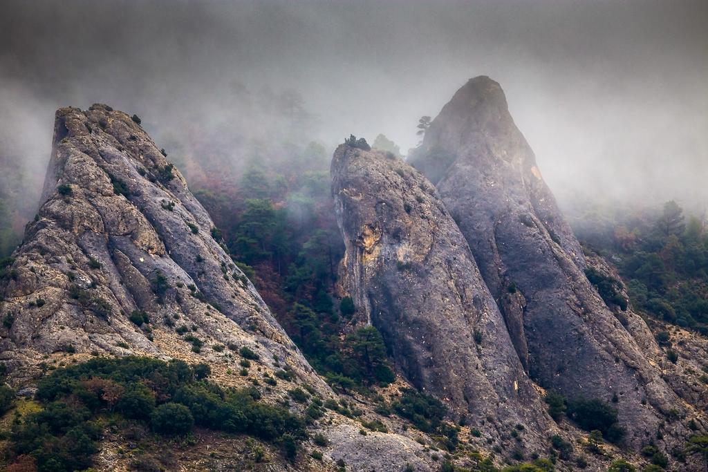 El Llano De Los Conejos Serrania De Cuenca Canamares Exterior photo
